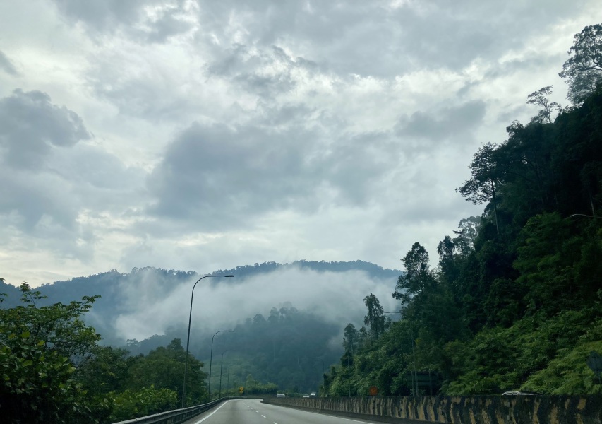 Thread 12 - TalkLair: “I say we take off and nuke the entire site from orbit. It's the only way to be sure.”