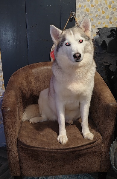 Pet photo thread