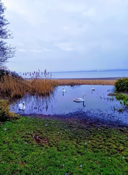 Come chat hiking with me!