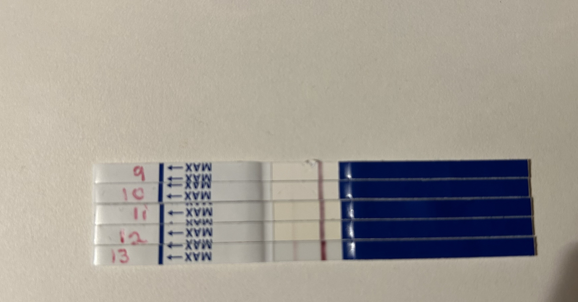 11DPO - is this a squinter?😬