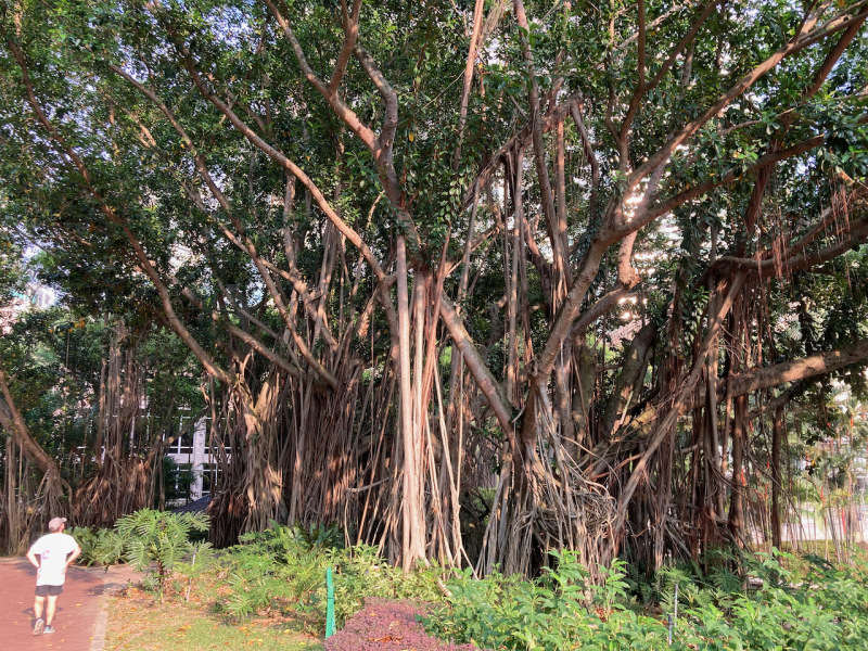 Thread 11 - TalkLair: “The candle flame gutters. Its little pool of light trembles.”