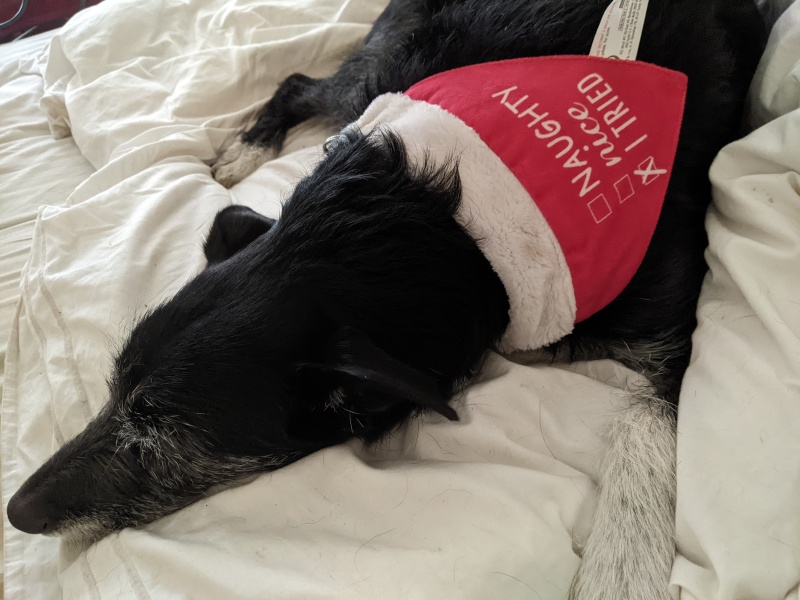 Thread 49 - Covid GCSE Cohort - The nights are drawing in...