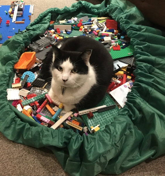 Pet photo thread