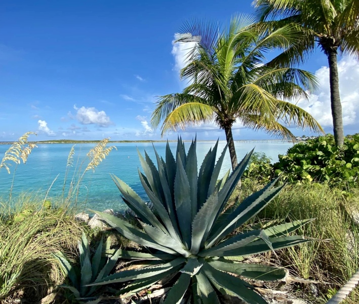 Where is the most beautiful place you've been to?
