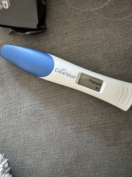 Due September 2024 PART 2 💛🧡💚💙💜