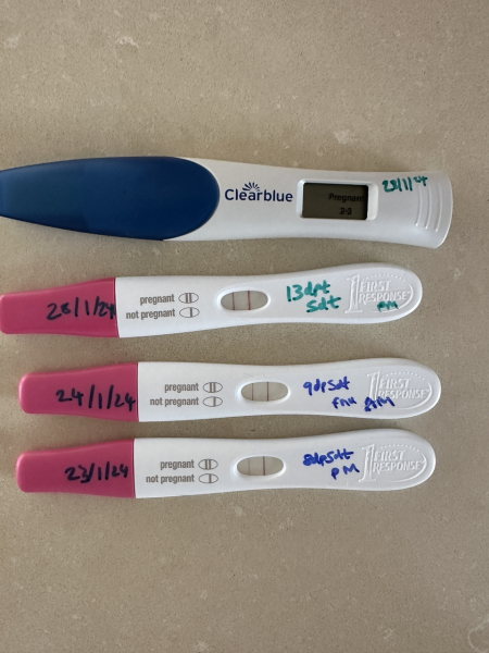 OCTOBER 2024 BABIES!