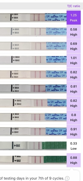 Cd57 not pregnant but high LH a lot (pic) peri menopause?
