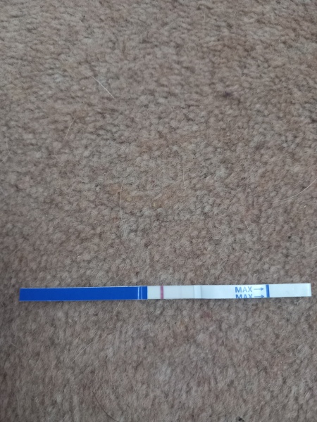 8dpo to test or not to test?