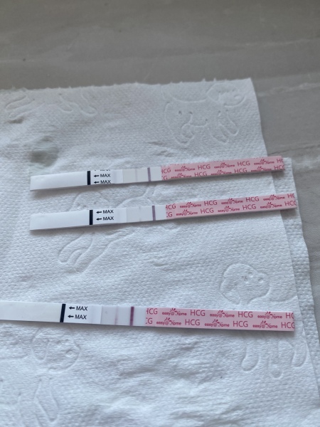 Are these all Evaps on easy at home?
