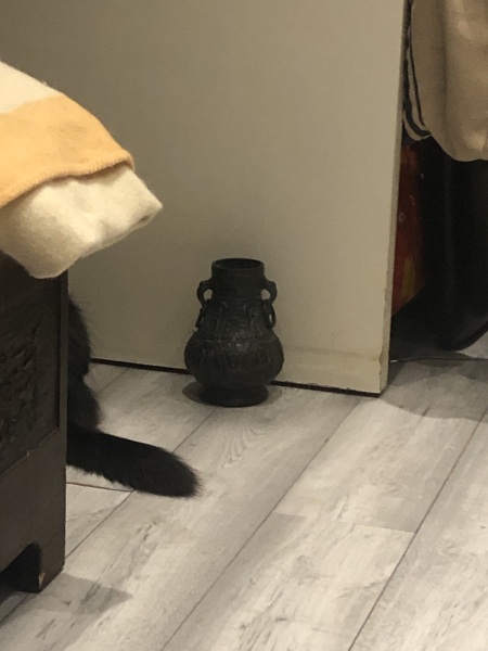 Christmas with the Excellent Cats