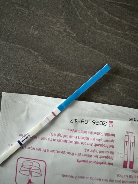 Home bargains strip tests