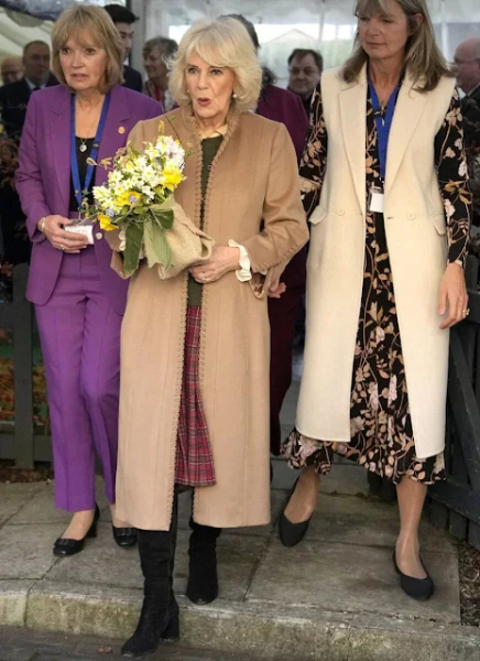 Royal Style: silk, stomachers, sapphires and plenty of sass