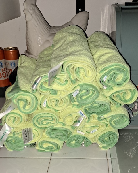 Another GC employment tribunal. Roz Adams vs Edinburgh Rape Crisis Centre #2