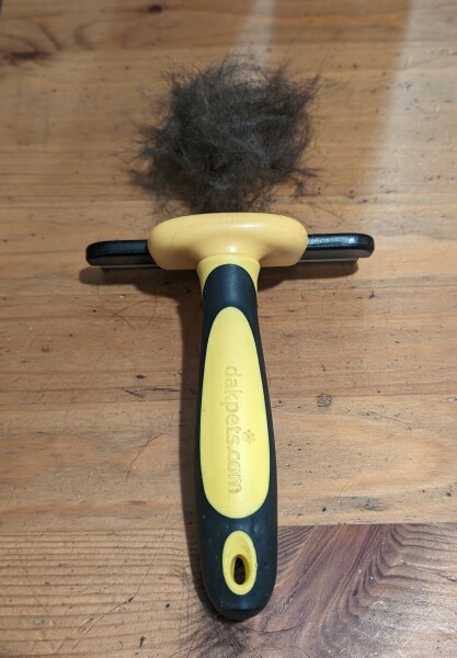 Puppy Survival Thread - for old and new pups heading into winter