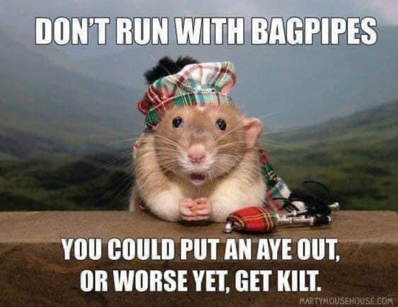 Burns Night Dinner