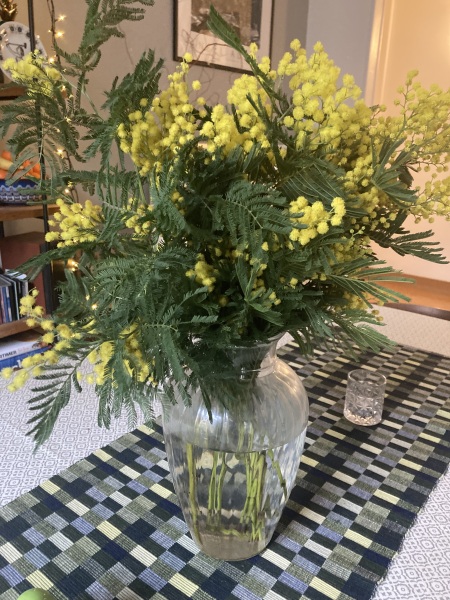 Nigel Slater Christmas Chronicles Read Along 2023 - Part Two