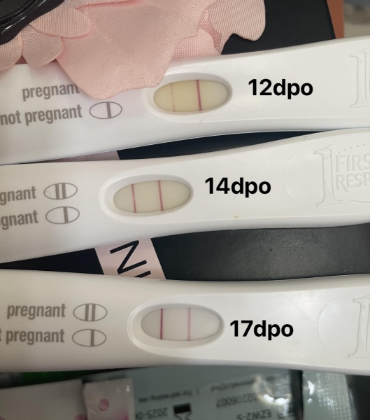 OCTOBER 2024 BABIES!