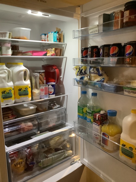 To ask you to show me your fridge?