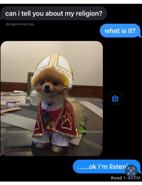 To think we need to find a way to infiltrate the dog cult?