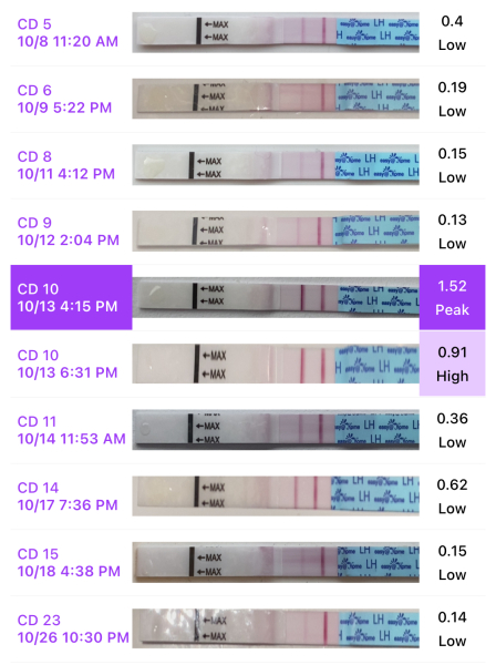 Waiting for ovulation day.