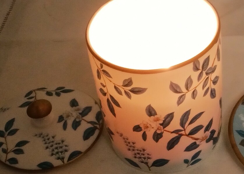 The Great Recovery! After cancer what next?