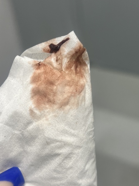 Bleeding light, got heavier then positive test? Help