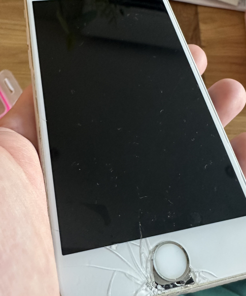 DD has eaten part of an iPhone...