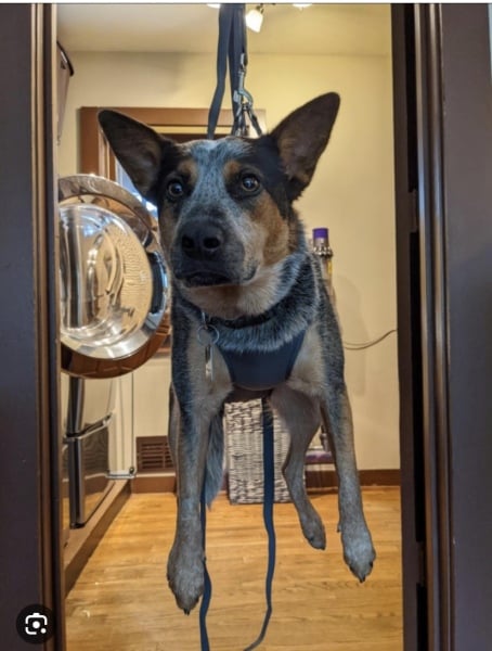 Sedation for nail clipping?