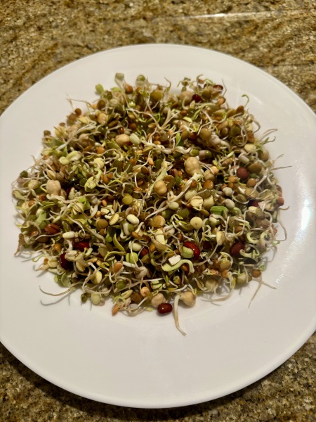 ⭐️LOSE IT! January 2024 Reset & Renew⭐️