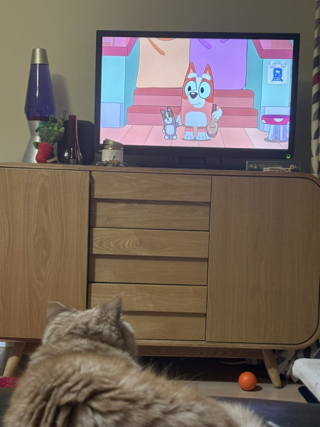 Potential new inmate at Toddler Towers.