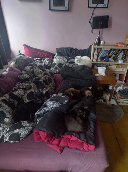 Tales and Tails and NMCs  -  the Excellent Cats March On