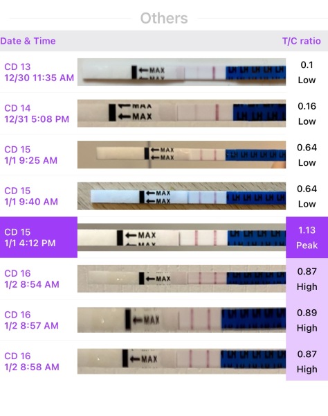 Ovulation help please! Desperate :(