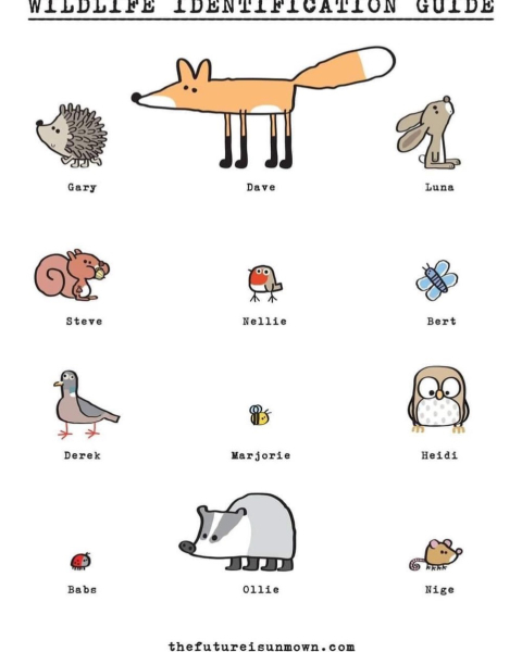 Best pet name you’ve heard