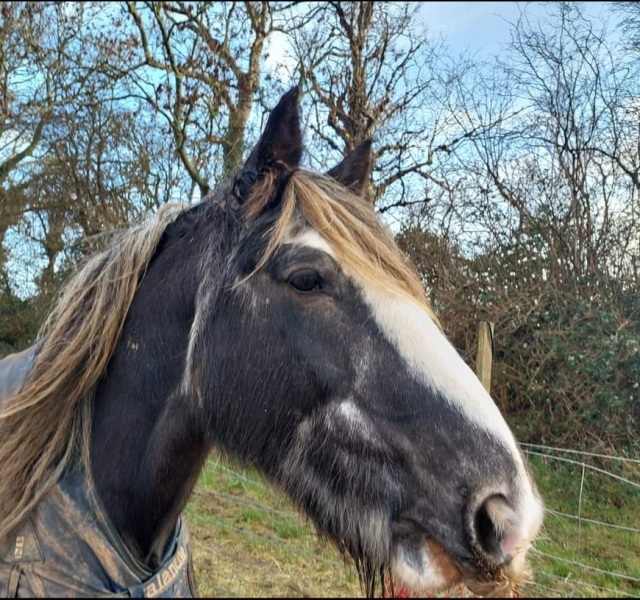 Another GC employment tribunal: Roz Adams vs Edinburgh Rape Crisis Centre #3