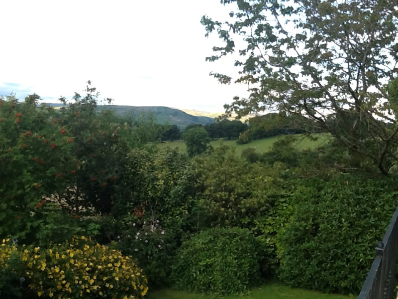 To ask you to show me your beautiful parts of the country