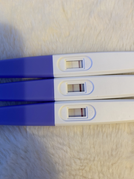 Due September 2024 PART 2 💛🧡💚💙💜