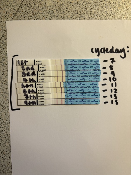 15 days into my cycle and still no sign of a positive OPK
