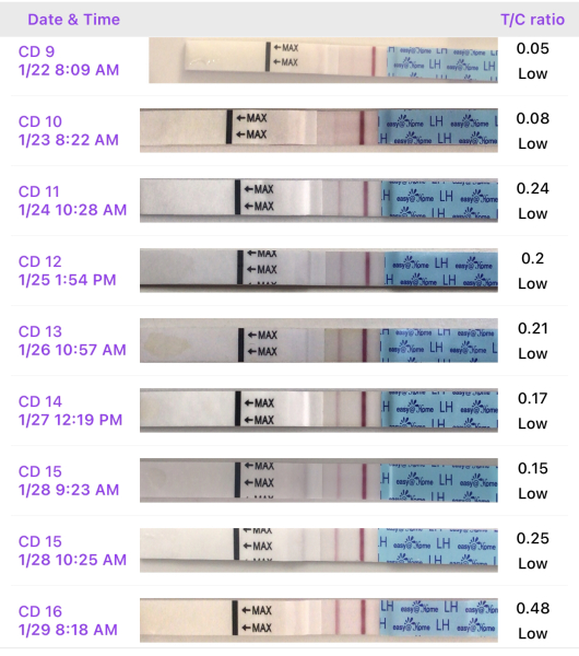 No positive OPK CD 27