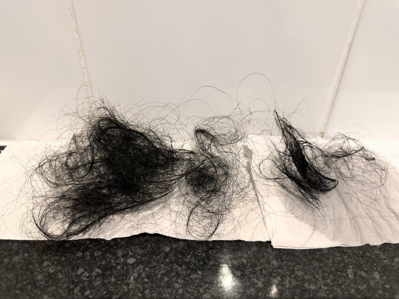Should I buzz my hair!?