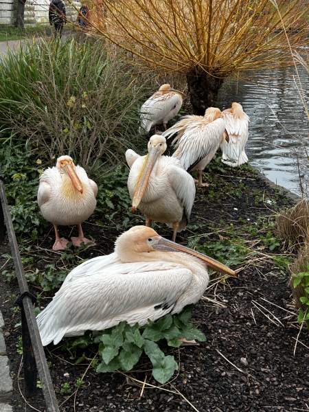 Come and tell me your dull and unexciting news 28: Calmly through the day