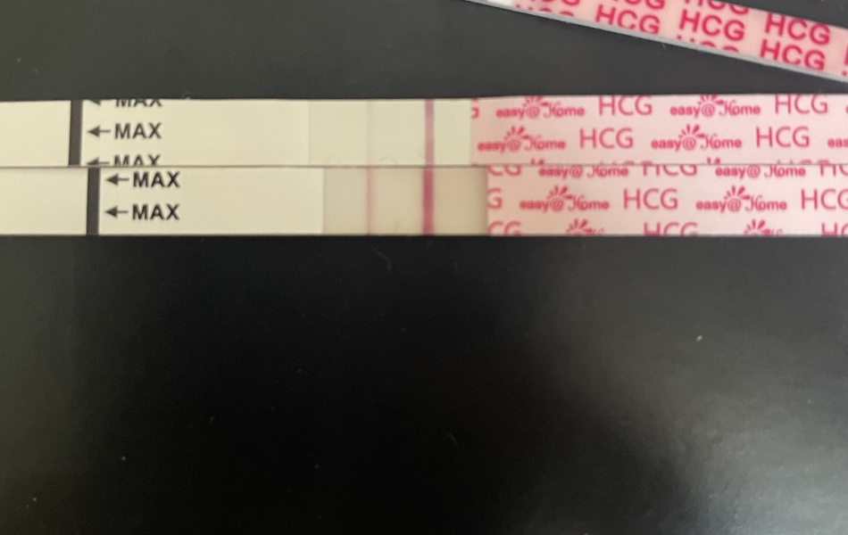 3DPO...TWW buddies?