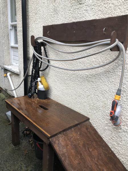 What do I need to know about getting a golden retriever?