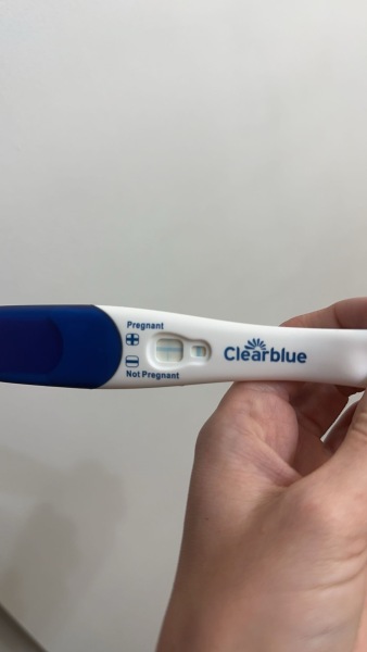 Clear blue test. Evap line or positive