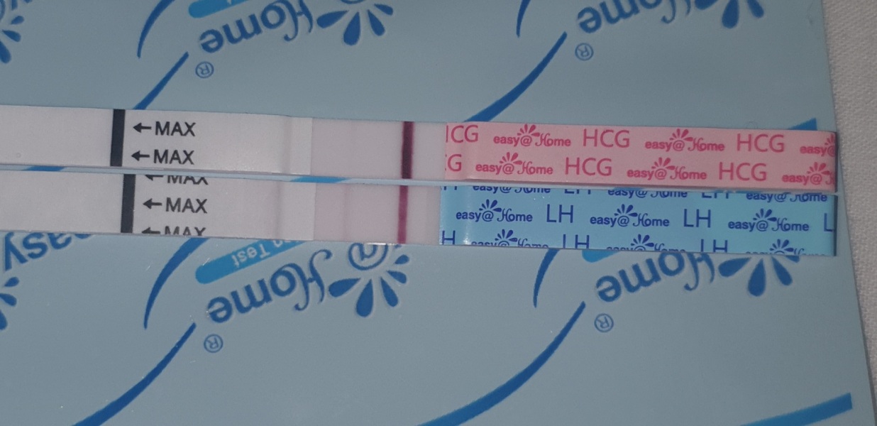 16 DPO, high temp, AF due tomorrow 