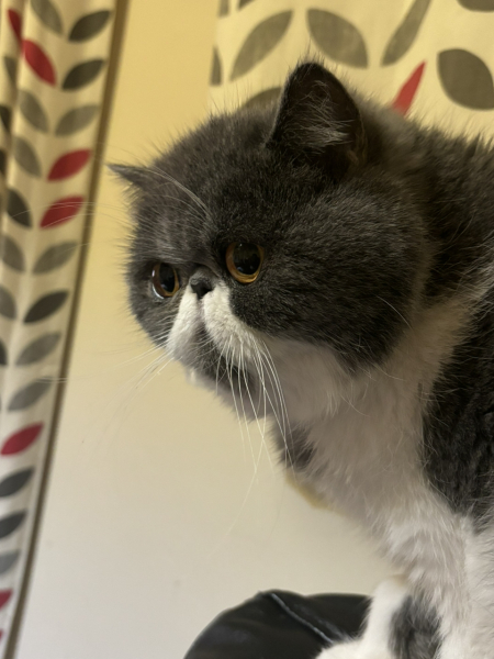 Potential new inmate at Toddler Towers.