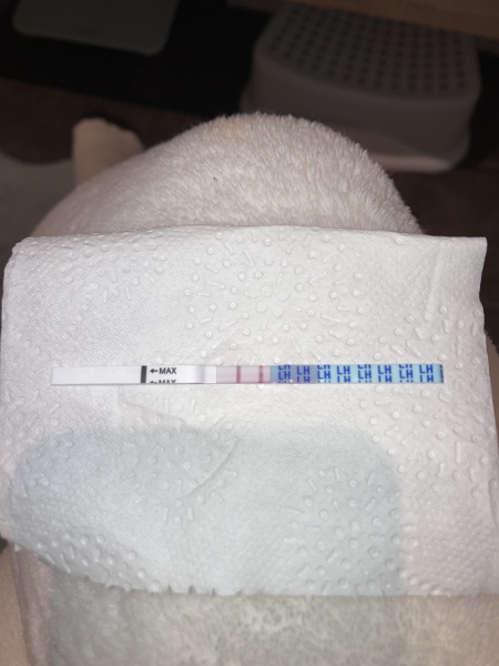 Anyone TTC Dec 2023…continued