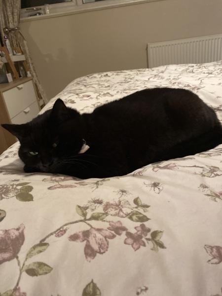 What can I do in the evenings?