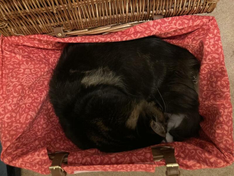 Come and tell me your dull and unexciting news 28: Calmly through the day