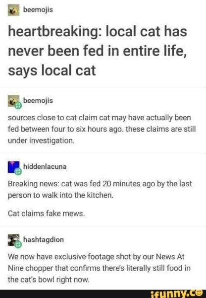 How much to feed a 6 month kitten??