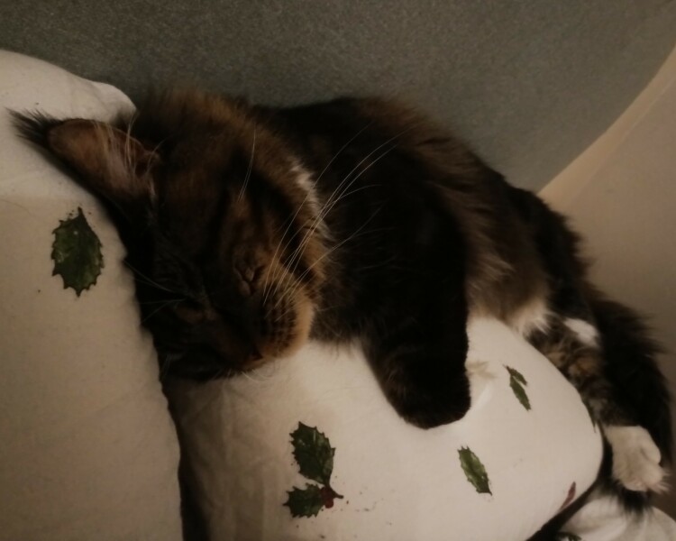 Come and tell me your dull and unexciting news 28: Calmly through the day